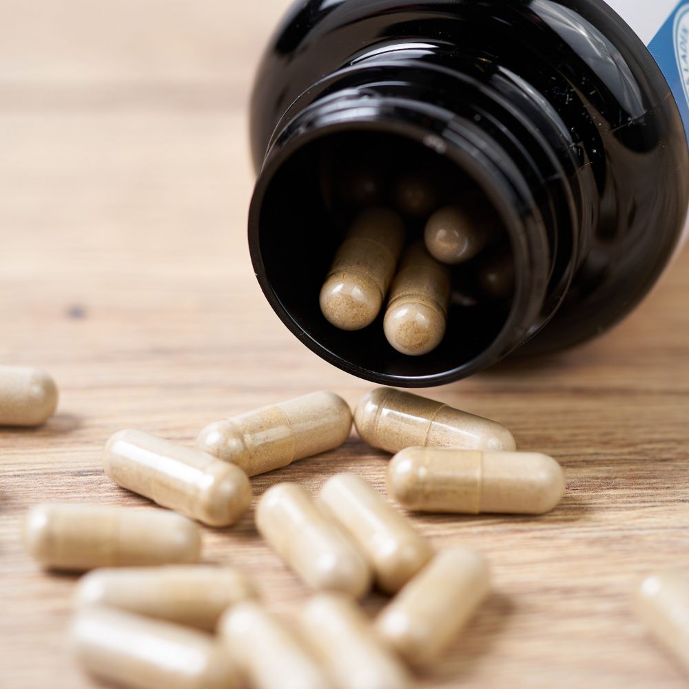 Hildegard von Bingen - Pelargonien Mischpulver Kapseln 90 Stk.